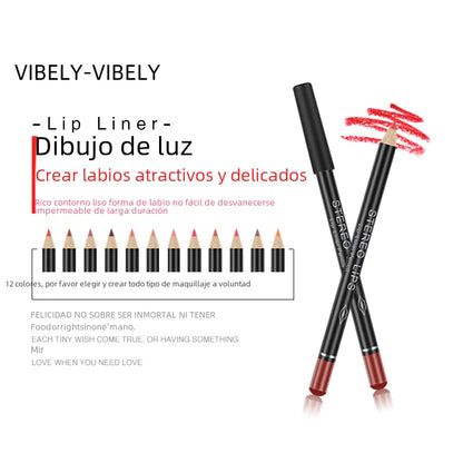 Conjunto de delineadores labiais matte VIBELY com 12 cores à prova d'água