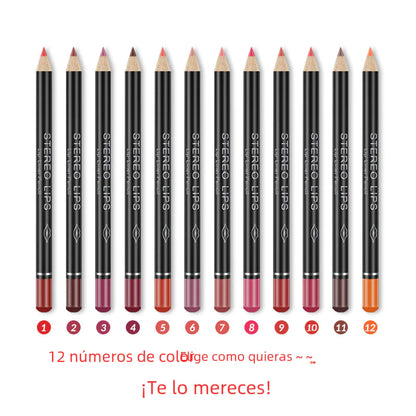 Conjunto de delineadores labiais matte VIBELY com 12 cores à prova d'água